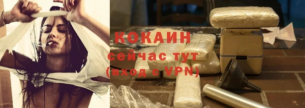 индика Арсеньев