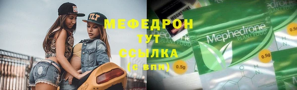 индика Арсеньев