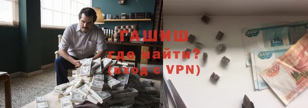 индика Арсеньев