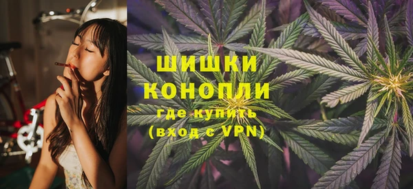 индика Арсеньев