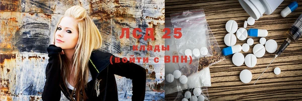 индика Арсеньев