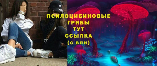 МДПВ Аркадак