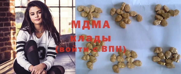 индика Арсеньев